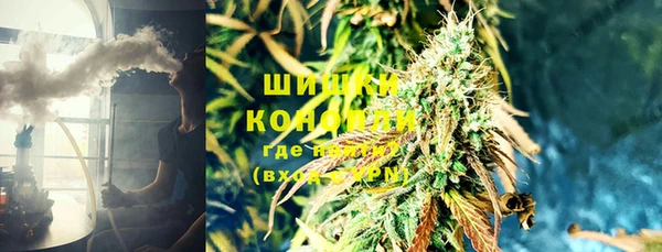 ешки Алзамай