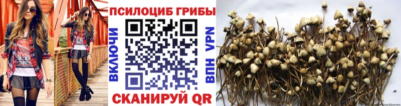 Галлюциногенные грибы Magic Shrooms  Рошаль 