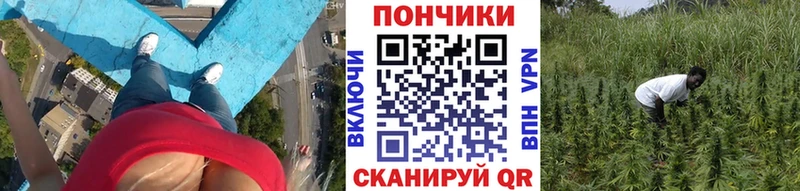 Шишки марихуана конопля  Рошаль 
